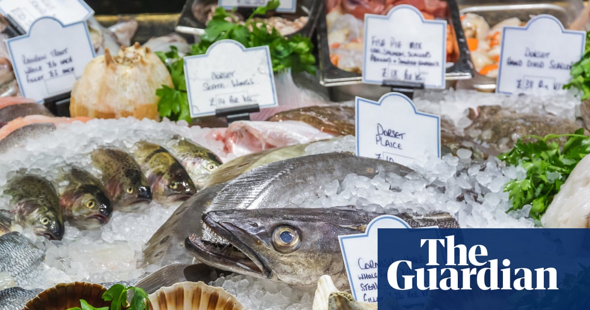 Scale back on hake and coley, seafood charity tells shoppers | Fishing
