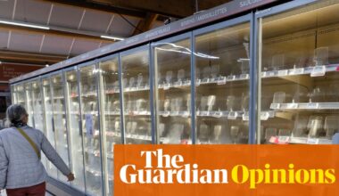 World leaders must wise up to threat of cyber-attacks or rogue fridges will be least of their worries | Heather Stewart