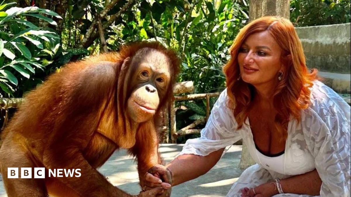 Kelly Kershaw is kneeling down in a white dress holding the hand of an orangutan, which is looking at the camera. Behind them is a forest environment.