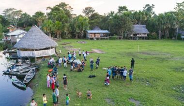 World Forest Week: United Kingdom and Germany announce support to strengthen innovative forest monitoring