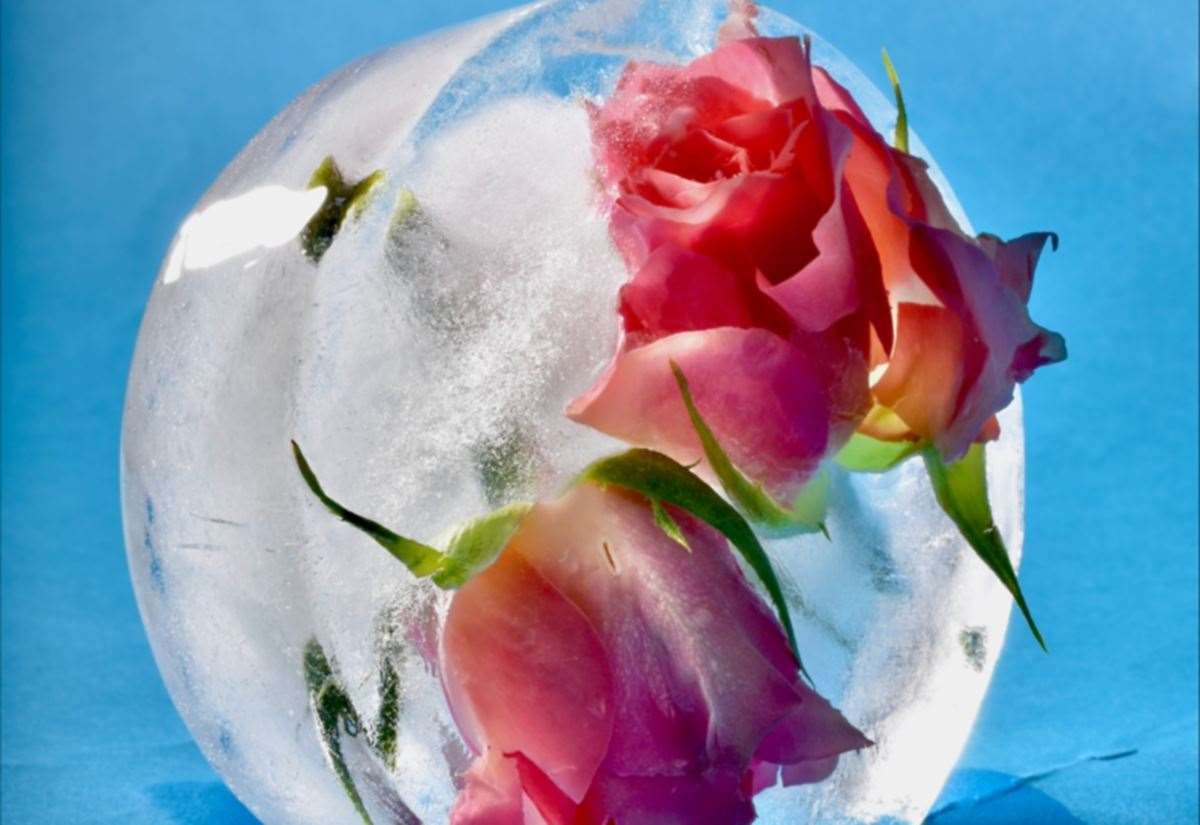 Young Photographer Competition 2026-27 from Rotary Club of Cambridge now open for entry