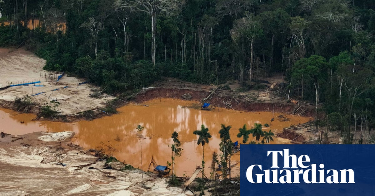 US corporate lobbyists mounted ‘blitz’ to dilute landmark EU deforestation law, report finds | Deforestation