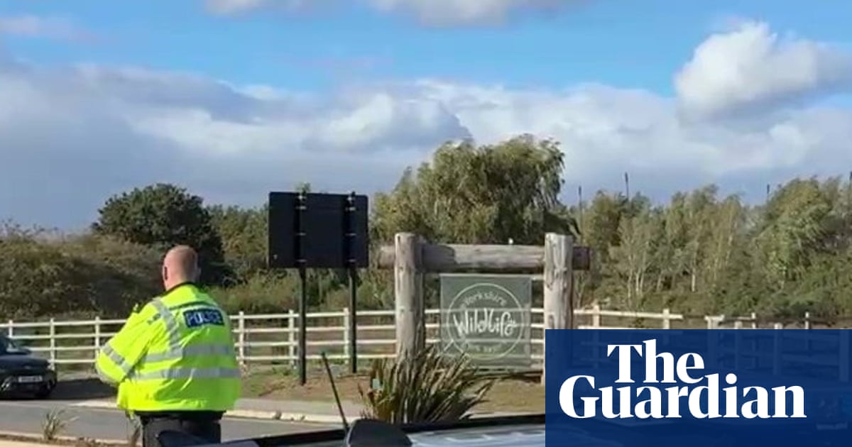 Man dies after jumping into tiger enclosure at Yorkshire zoo | Zoos