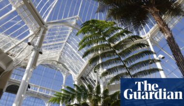 Falling glass and ‘decapitated’ plants: the race to protect Edinburgh botanic garden’s plants | Edinburgh