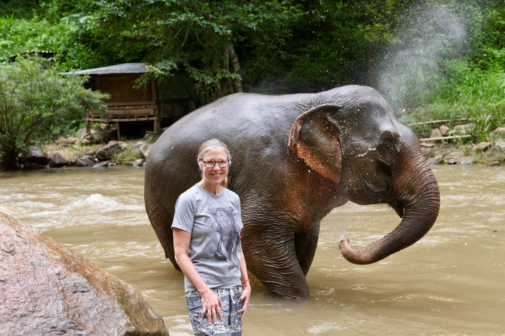 The author in the river with an elephant.