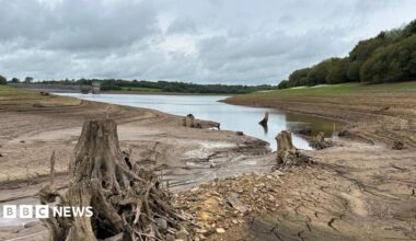 Roadford Reservoir in west Devon. There is a small pool of water at the centre and surrounded by dry, brown land.