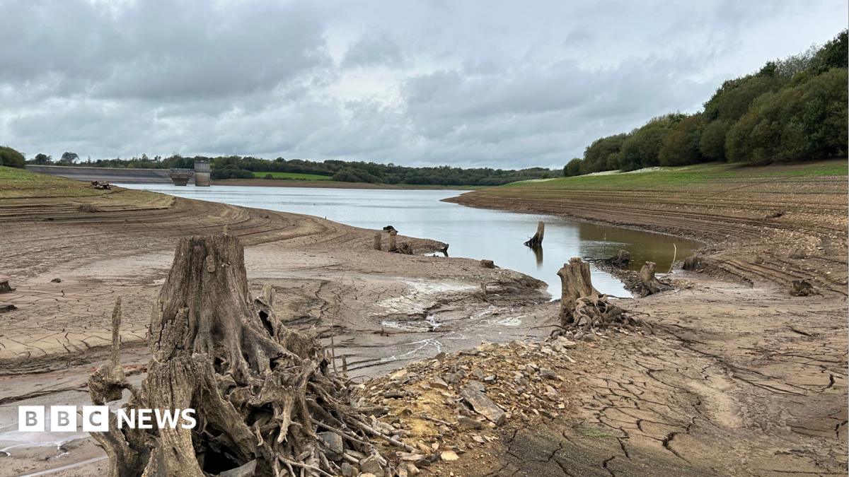 Roadford Reservoir in west Devon. There is a small pool of water at the centre and surrounded by dry, brown land.