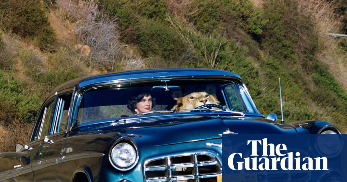 Is that a lion driving the car? Alluring images to buy in the Magnum Square Print Sale – in pictures - The Guardian