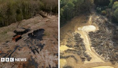 Two aerial images side by side. In the left picture there is a forest with a clearing which contains piles of rubbish, and some areas of flooding. The foliage on the trees suggests the picture was taken during winter. On the right hand image is the same clearing but there are no longer piles of rubbish, there appears to be cut down trees and more extensive areas of water. The forest on the outside is green suggesting the picture was taken during summer.