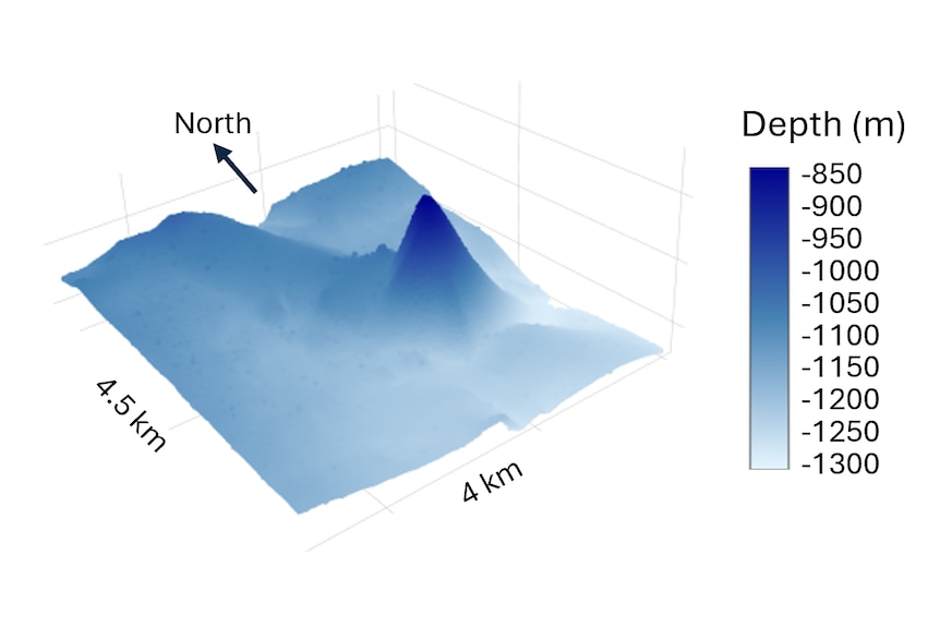 A 4 by 4.5 kilometre computer render of the underwater terrain at Patience Seamount including a pointy peak and ridge.