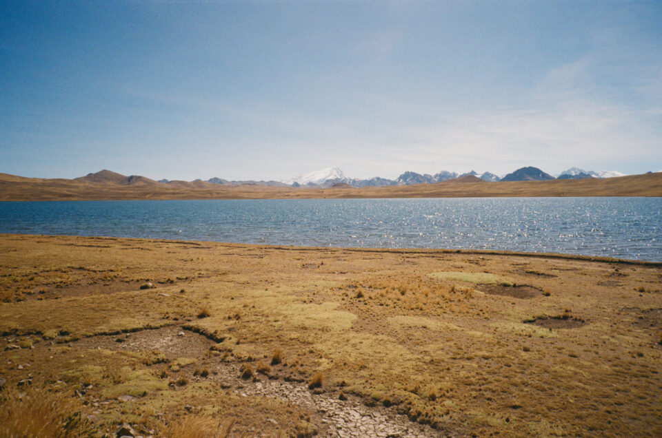 Alma Andina Race Poli Berber