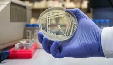 This Deadly Fungus Keeps Learning How to Beat Every Drug We Throw at It