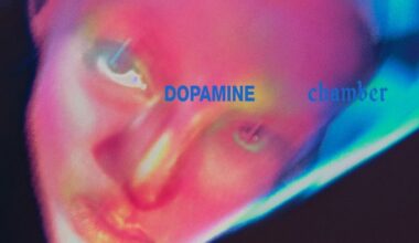 Fontaines D.C.: Dopamine Chamber Album Review