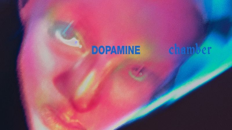 Fontaines D.C.: Dopamine Chamber Album Review