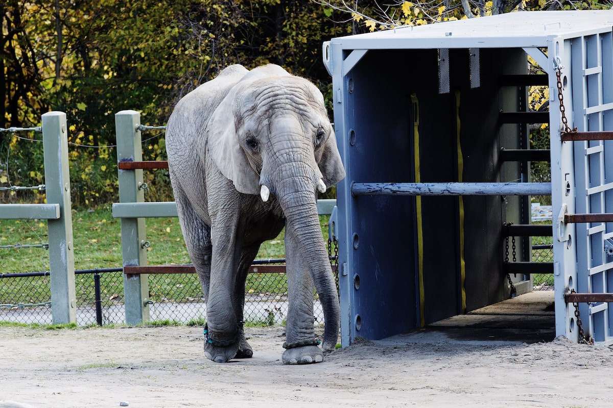 The modern zoo’s time is up