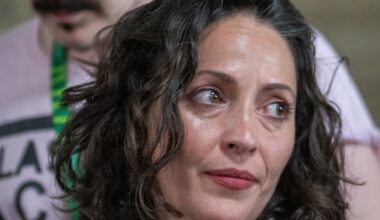 UK Green member behind anti-Zionism motion ‘receives death threats’ | Israel-Palestine conflict News