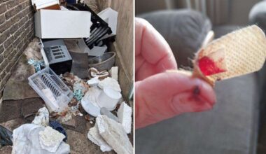 Gillingham pensioner bitten by rat as she slept says fly-tipping in alley behind her Chaucer Road home has caused rodent invasion