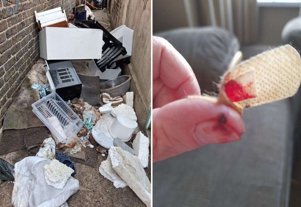 Gillingham pensioner bitten by rat as she slept says fly-tipping in alley behind her Chaucer Road home has caused rodent invasion