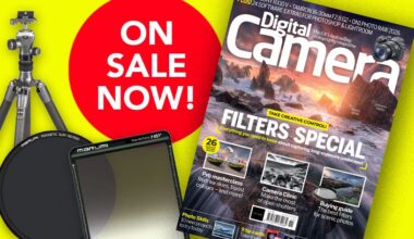 Front cover of issue 313 (November 2026) of Digital Camera World magazine and a red blob that reads 'On sale now!