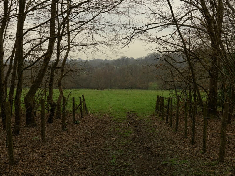 A dirt path leads through a wooden fence into a green field, framed by bare trees under an overcast sky.