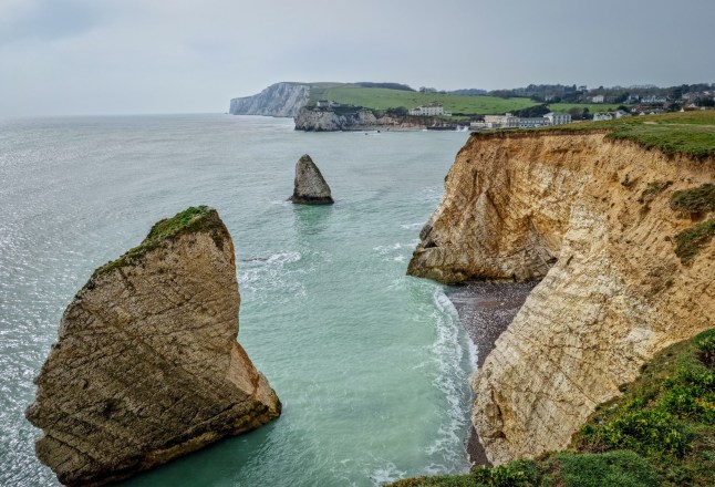EMBARGOED UNTIL THURSDAY 12.00BST/07.00ET FILE PICTURE - The rugged coastline of the Isle of Wight. A dinosaur unearthed on the Isle of Wight may be the largest land predator that ever roamed Europe, say scientists. See SWNS story SWNNpredator. It was a cross between T Rex and the Great White shark - as it was also able to hunt in water. The terrifying creature had a face like a crocodile, razor-sharp teeth and claws - and a whip-like tail. It was as big as a school bus - over 33 feet long and weighing more than five tons. The fossilised bones include large pelvic and tail vertebrae amongst other pieces. They were dug up near Compton Chine on the southwest coast and date back 125 million years - a period of rising sea levels. The bipedal beast had short arms - like T Rex. Stalking lagoons and sandflats, its bonecrushing jaws snapped large fish in half - and even other dinosaurs. It was a member of the spinosaurids - meaning 'spine lizard.' They were the first dinosaurs to swim. Bones grew on their backs to form what is referred to as a 'sail'. They were up to seven feet long - and connected by skin.