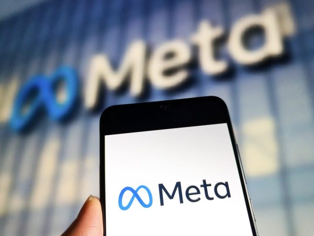 Famous brands including Facebook and Instagram owner Meta have attempted to offset their carbon emission on the Kenyan project (Photo: CFOTO/Future Publishing via Getty Images)