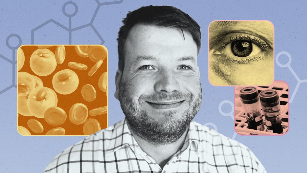 I’m a GP – this is what your cholesterol numbers really mean