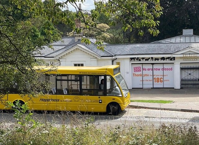 the big lemon bus