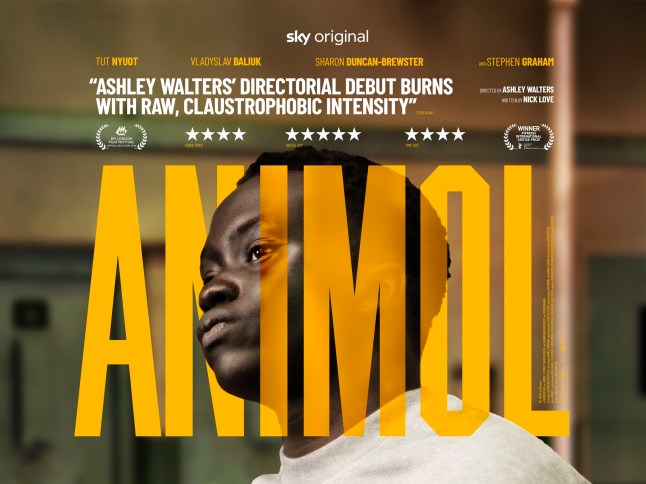 Poster for Ashley Walters' directorial debut Animol
