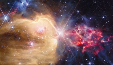 The NASA/ESA/CSA James Webb Space Telescope has revealed many protostars and stars within the glowing gases of NGC 7129. Credits: NASA/ESA/CSA/STScI/Alyssa Pagan