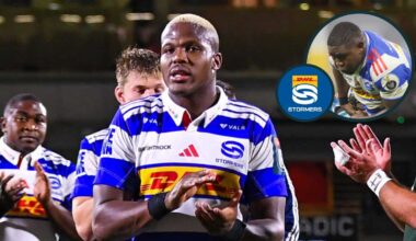 Stormers player ratings: 'Diabolical lineout' costs John Dobson's side dearly as Siya Kolisi loses second debut