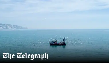 Britain’s fishing fleet on the brink of collapse