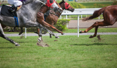 What cost-of-living crisis? A day at the Newmarket sales