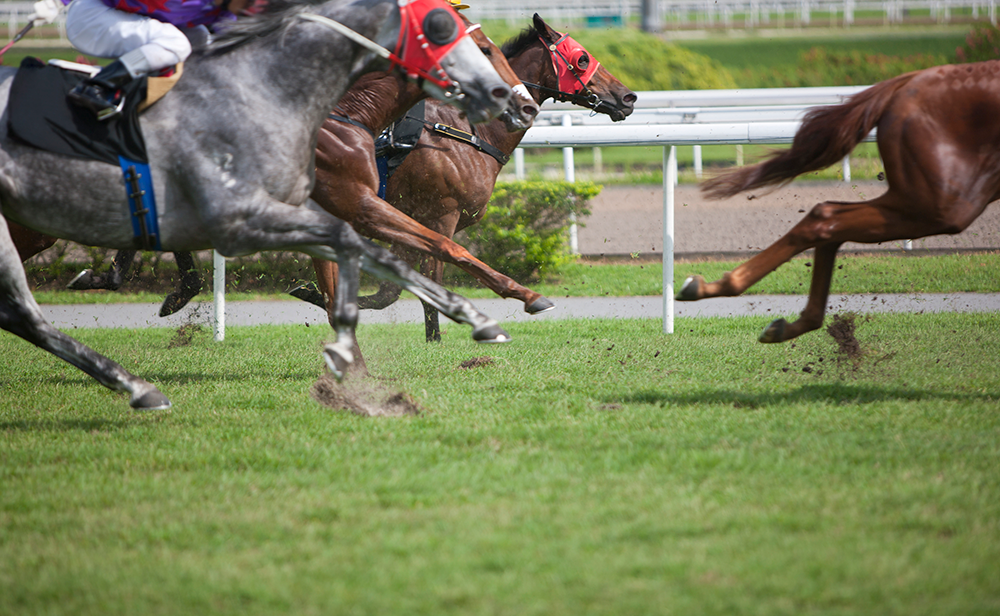What cost-of-living crisis? A day at the Newmarket sales