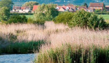 Erin McDaid of Nottinghamshire Wildlife Trust discusses the flaws of cutting green regulations