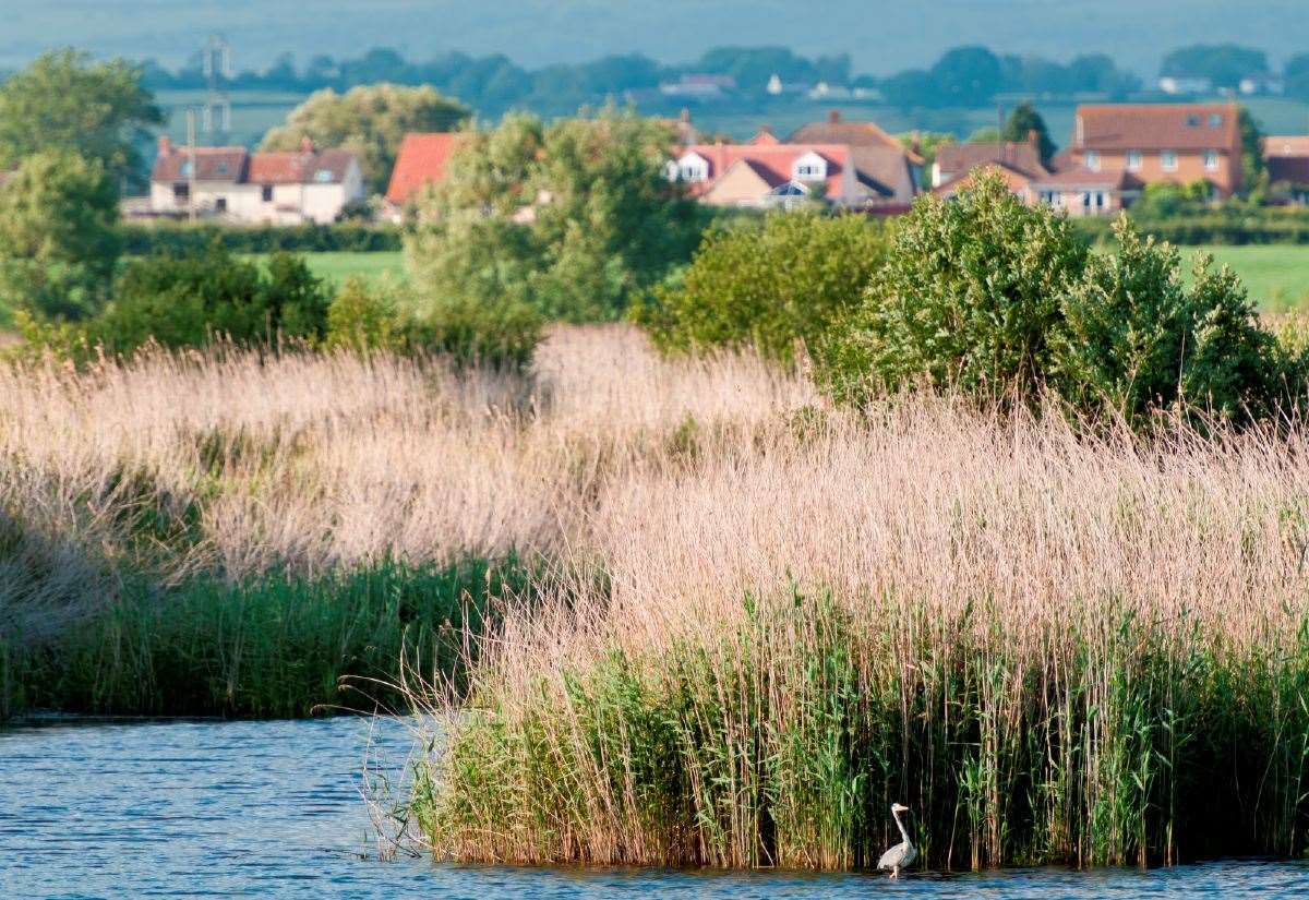 Erin McDaid of Nottinghamshire Wildlife Trust discusses the flaws of cutting green regulations