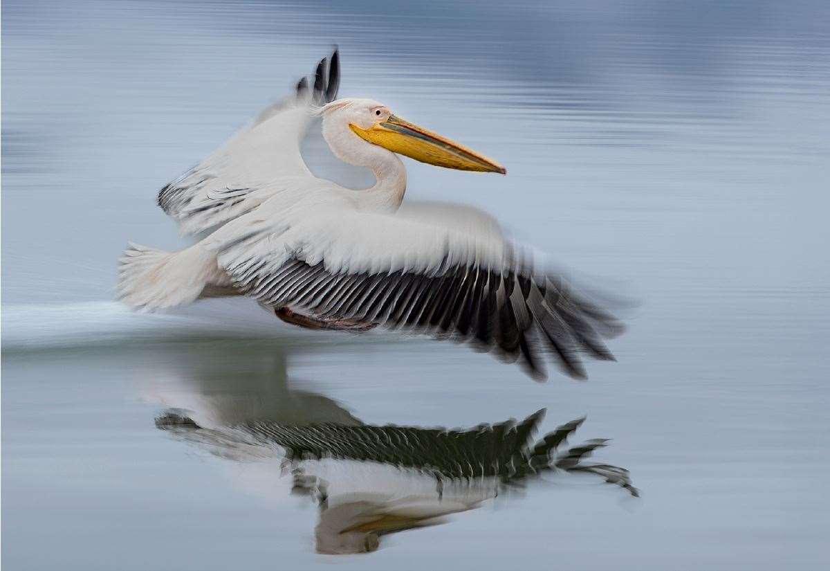 Deepings Camera Club hosted image battle against Grantham Camera Club
