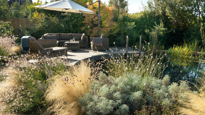 A Buckinghamshire wildlife garden redesigned around an unheated natural swimming pond that attracts frogs, bats, and dragonflies