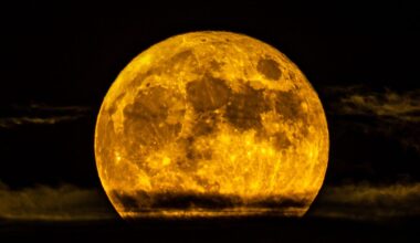 Full Moon rising. Credit: Denise Panyik-Dale / Getty Images