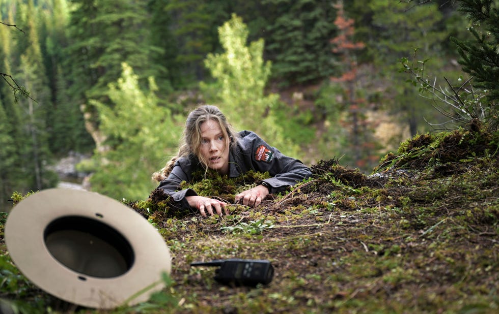 Tracy Spiridakos, Anna Pigeon Mysteries tracy spiridakos, anna pigeon mysteries