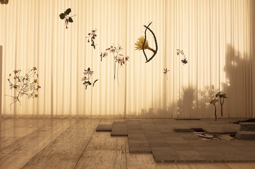 álvaro urbano brings casa cueva’s botanical memories to life at museo jumex in mexico city - 1