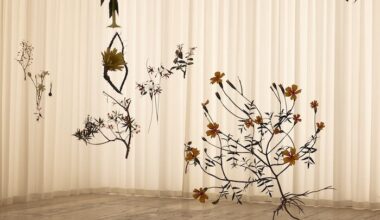álvaro urbano revisits casa cueva at museo jumex