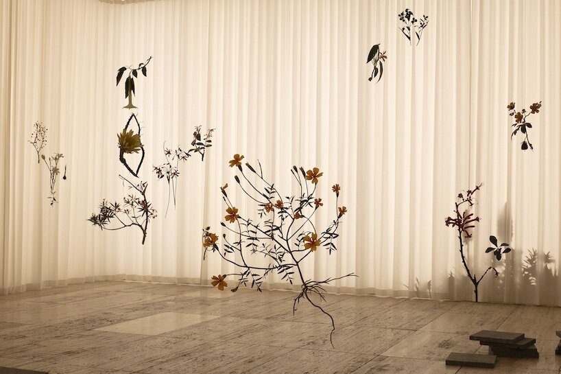 álvaro urbano brings casa cueva’s botanical memories to life at museo jumex in mexico city - 2