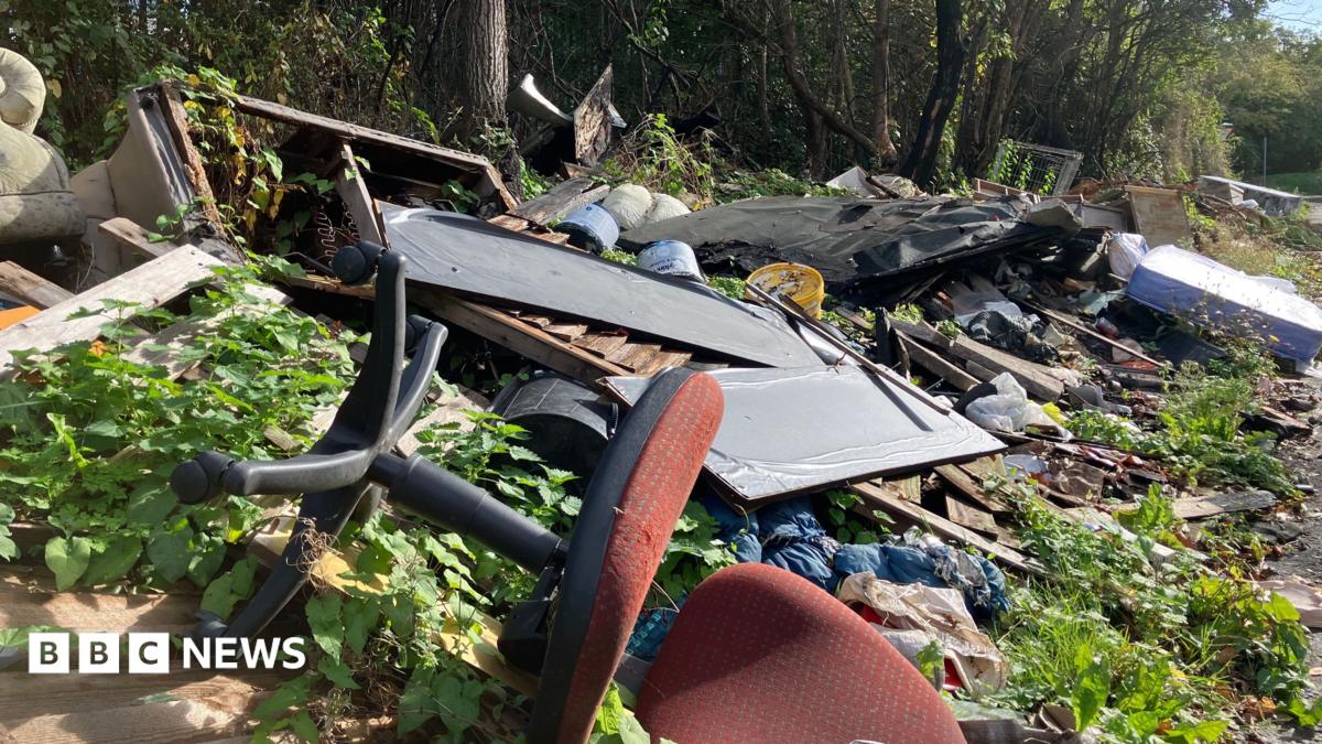 A large amount of fly-tipped waste stretches along the edge of a tree-lined lane. In the foreground, an overturned red office chair lies among piles of rubbish and overgrown vegetation.