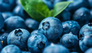 Eating blueberries every day may have a surprising effect on your mood