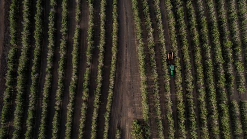 How El Niño will drive up the cost of foods you love