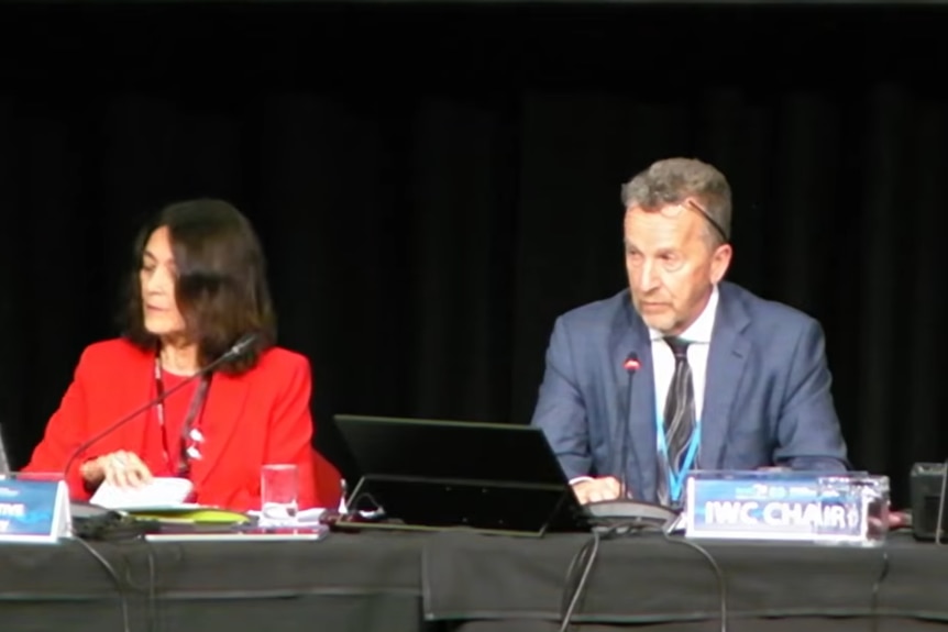A man speaks at a microphone as part of a panel of delegates