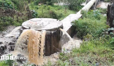 A tank from a sewage system overflowing with water. A large pipe leads water to it across a grassy area. The concrete tank has water coming out from the seams where the cover should be sealing it inside.