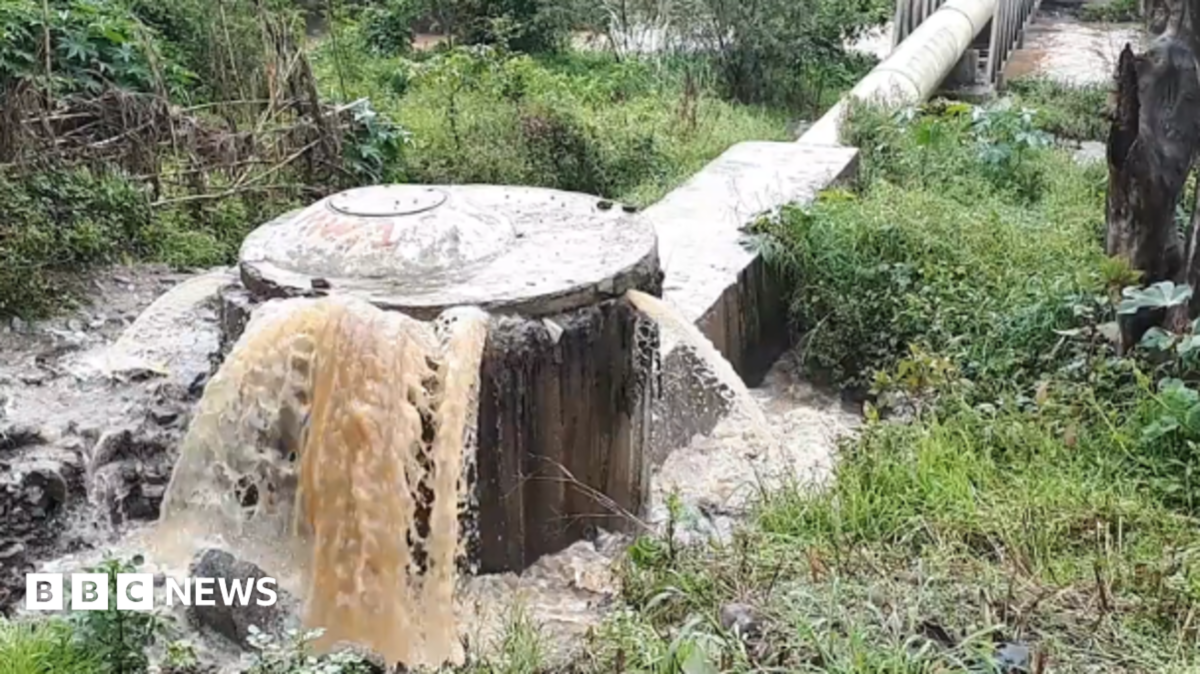 A tank from a sewage system overflowing with water. A large pipe leads water to it across a grassy area. The concrete tank has water coming out from the seams where the cover should be sealing it inside.