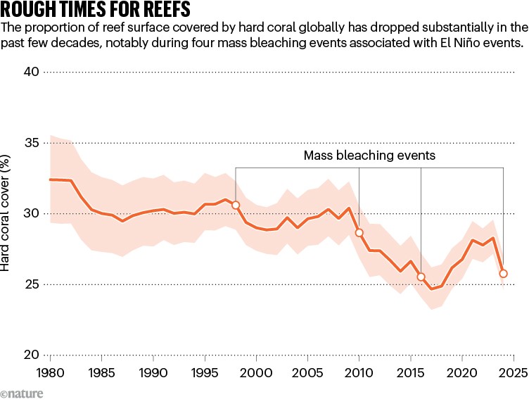 ROUGH TIMES FOR REEFS. Line chart showing that the proportion of reef surface covered by hard coral has substantially declined in the past few decades, notably during four mass-bleaching events associated with El Niño.